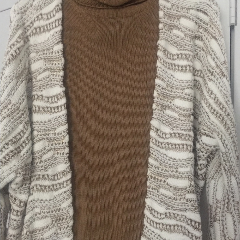 White and Gold Sweater